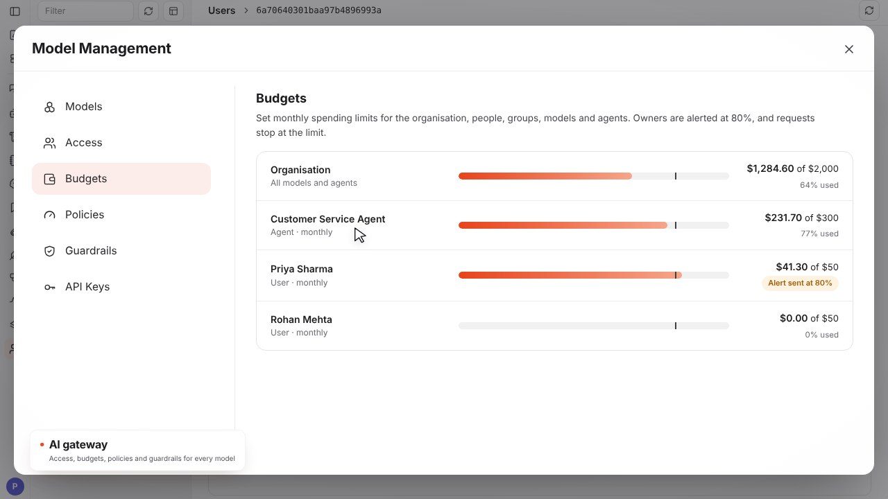 AI gateway model management with budgets per organisation, agent and user